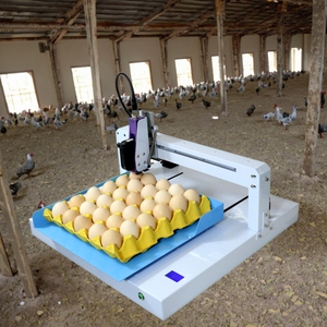 Nhà Máy Giá trứng Máy in mã trứng máy in cho in ấn hết hạn ngày logo số Serial - Product Image 1