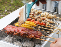 Mini barbecue au charbon de bois pliable portable jetable
