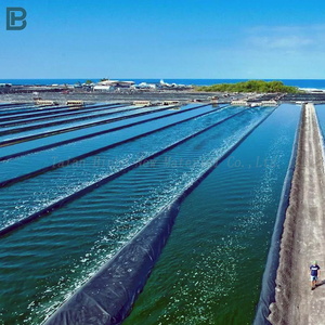 Géomembrane HDPE durable de 1.5 à 2mm pour étangs à poissons Revêtement d'étang Revêtement de <span class=keywords><strong>piscine</strong></span> Membrane d'aménagement paysager de jardin Barrage renforcé fabriqué - Product Image 5