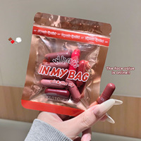 Ensemble de rouges à lèvres capsules 8 couleurs effet brume, tons doux, longue tenue, anti-transfert, format voyage, fini mat, vente en gros