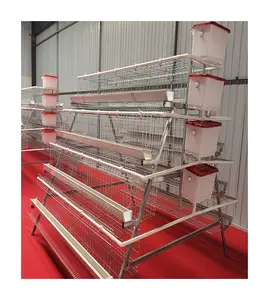 4tiers chicken cage laying hens equipment cage A type for 160 chickens