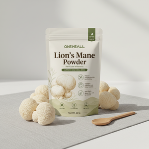Poudre de Crinière de Lion Bio OEM/ODM pour la Concentration, la Mémoire, le Sommeil, la Santé Immunitaire et les Enzymes - Poudre de Champignon Crinière de Lion - Product Image 4