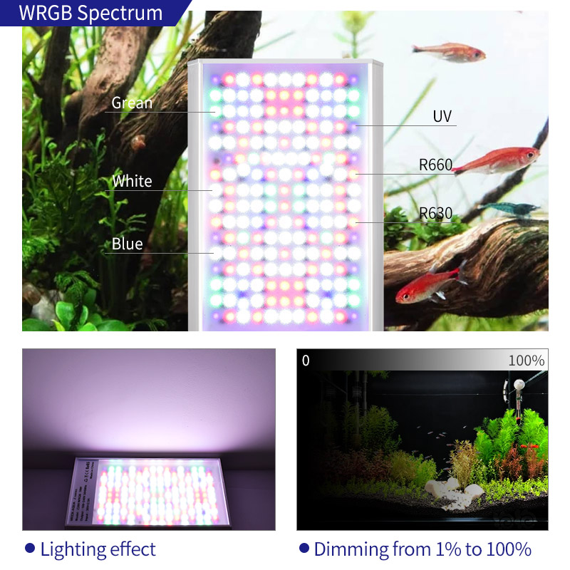 WEEK AQUA LED Z200 RGB/WRGB 70w - Full Spectrum Aquarium Light