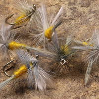 Plumes de canard blanc en gros, plumes de canard de différentes tailles pour la fabrication de mouches artificielles, mouches humides, mouches Spey, leurres pour saumon et truite