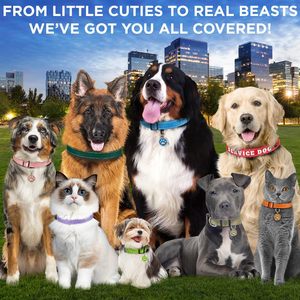 TECEUM Reflective <b>Dog</b> <b>Collar</b> Orange <b>Large</b> Premium Nylon Pet <b>Collar</b> With Quick Release Buckle For <b>Large</b> <b>Dogs</b> - Product Image 5