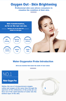 Machine de beauté 9 en 1 à oxygène et diamant pour dermabrasion, aspiration, élimination des points noirs, jet peel, hydrogène et hydrodermabrasion