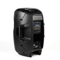 DASN SCC15AOH-LED4 Enceinte active professionnelle de classe AB en plastique de 15 pouces 100W avec contrôle par application Enceinte amplifiée