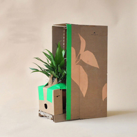 Boîtes d'emballage en carton kraft imprimé avec logo et taille personnalisée pour plantes vivantes