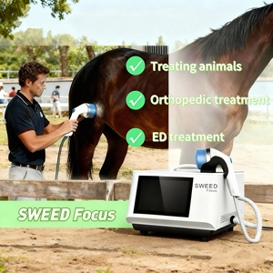 Nouveautés Machine de physiothérapie ESWT pour la dysfonction érectile et le soulagement de la douleur - Product Image 1