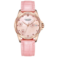 Montre mécanique automatique de luxe pour femme Caluola ODM/OEM, analogique, verre saphir, bracelet en acier inoxydable 18 mm, boîtier 35 mm