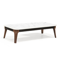 Mesa de Centro Moderna de Estilo Nórdico con Tapa de Piedra y Marco de Madera para Sala de Estar o Dormitorio, con Mesas Nido