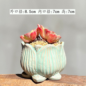 Macetas de Cerámica Transpirables de Cerámica Gruesa para <span class=keywords><strong>Suculentas</strong></span>, de Calibre Mediano <span class=keywords><strong>y</strong></span> Pequeño, para Lithops, <span class=keywords><strong>Suculentas</strong></span> Maduras <span class=keywords><strong>y</strong></span> Echeveria Ice Green - Product Image 6