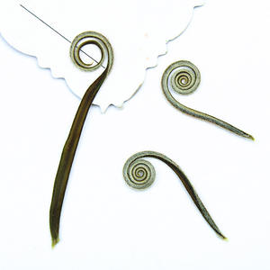 Bouquets <span class=keywords><strong>de</strong></span> feuilles <span class=keywords><strong>de</strong></span> <span class=keywords><strong>palmier</strong></span> sagou séchées écologiques pour souvenirs <span class=keywords><strong>de</strong></span> mariage, décoration <span class=keywords><strong>de</strong></span> gâteaux, arrangements floraux - Product Image 3