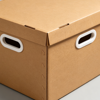 Caja de Cartón Personalizada para Almacenamiento de Archivos con Tapa