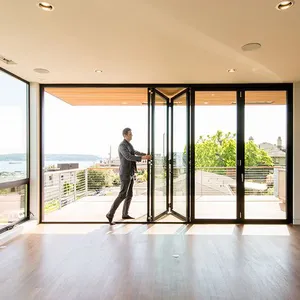 D-TOP SHENZHEN 2023 yüksek kaliteli çerçevesiz katlanır cam çift salıncak dış veranda kapısı alüminyum katlanır kapı ev için