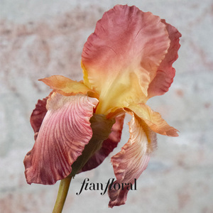 <span class=keywords><strong>Flor</strong></span> <span class=keywords><strong>Artificial</strong></span> de Iris FONG IAN de 79 cm, Planta <span class=keywords><strong>Artificial</strong></span> de Seda, Flores Artificiales Decorativas, Flores de Seda Realistas, IRIS - Product Image 4