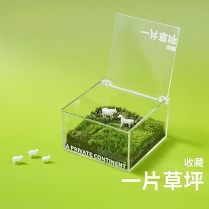 Un mini jardín, caja de musgo, vegetación para escritorio de oficina, plantas en maceta, decoraciones creativas para mesa, un micro paisaje curativo - Product Image 1