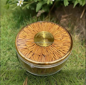 Preço de Atacado <span class=keywords><strong>Cordyceps</strong></span> Natural Flor de <span class=keywords><strong>Cordyceps</strong></span> Cultivada <span class=keywords><strong>Cordyceps</strong></span> Militaris Cru - Product Image 6