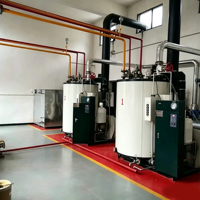 Chaudière à eau chaude à biomasse, à granulés de sciure de bois, à charbon, verticale, en acier inoxydable, à tubes de fumée, entièrement automatique, à bas prix