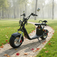 Moto électrique Citycoco 2000W 45km/h à longue autonomie, batterie au lithium 200kg, en alliage d'aluminium, étanche, très vendue