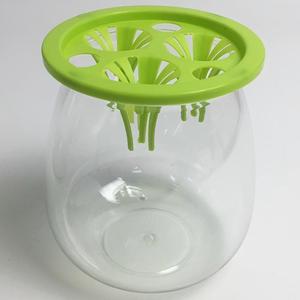 Maceta Hidropónica de Plástico Transparente Apta para Hierba del Dinero, Bambú, Orquídea Piel de Tigre - Product Image 2
