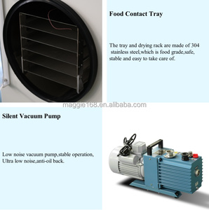 Machine de lyophilisation industrielle pour fruits, légumes, viande, lyophilisateur sous vide à économie d'énergie pour les petites entreprises - Product Image 6