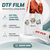 Film en rouleau DTF de 100 mètres pour impression par transfert thermique sur T-shirt et tissu en cuir - Matériau PET, épaisseur 75 µm, taux de transfert élevé