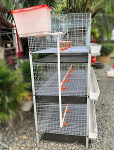 Cage à poulets ventilée de haute qualité avec système d'alimentation pour élevage avicole, équipement de ferme avicole, longue durée de vie - Product Image 5