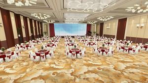 2024 indah High-end dinding untuk karpet dinding pemasok perjamuan Hall dan koridor axberujung karpet - Product Image 4