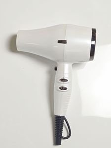 Professional Salon &amp; Hotel Use Ionic Hair <strong>Dryer</strong> 2000W AC Motor Compact Design - Product Image 2