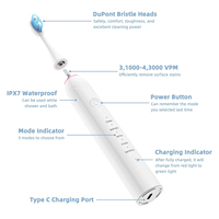 Ipx7 adulte minuterie nettoyage buccal blanchiment des dents brosse à dents à poils souples sonique brosse à dents électrique