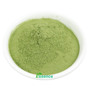 ผงใบอารูกูลาสดธรรมชาติ ผงสมุนไพรบริสุทธิ์ ผงเออรูคา ซาติวา 80 เมช ผงใบโร็คเก็ต - Product Image 3