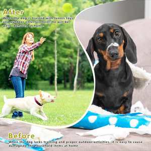 Juguete de Pelota de Tenis Redonda Resistente, Ecológico, Apto para Perros Medianos y Pequeños, Producto de Entrenamiento de Goma, Juguete Divertido para Mascotas - Product Image 6