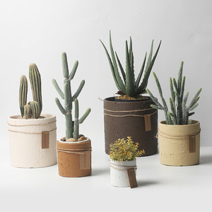 Pots de fleurs en céramique de style nordique pour plantes succulentes, design minimaliste moderne, trou de drainage, inspiration vintage unique - Product Image 4