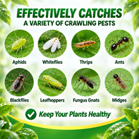 Bande adhésive anti-insectes pour tronc d'arbre 5cm*5m, bande collante pour vergers et arbres fruitiers, imperméable, piège à insectes rampants, rouleau