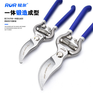 RUR Pruning Shears 8 10 Inch High Carbon Steel Bypass Manual Garden Tool For Fruit Tree Flower Branch Cutting - Product Image 1