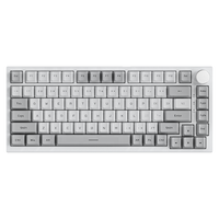 Clavier mécanique de jeu AJAZZ AK820 RGB, disposition 75 %, ergonomique, ambidextre, structure d'espacement, USB-C, plastique, pour ordinateur de bureau, nouveau produit