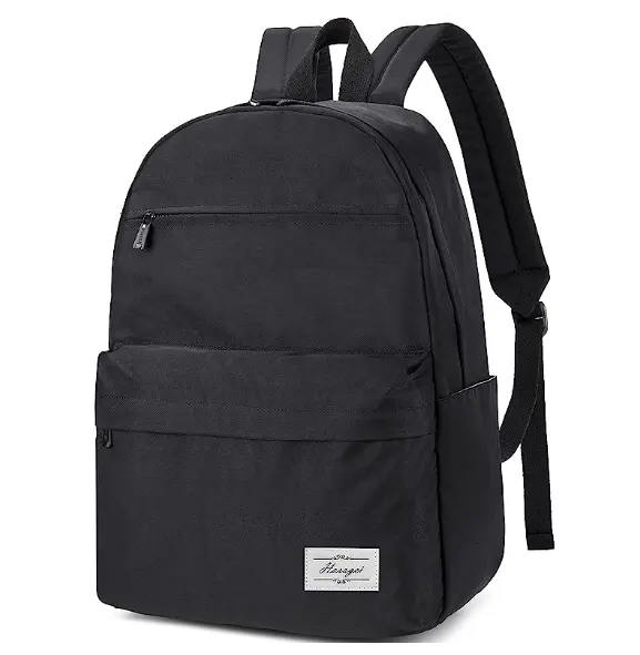 Wholesale Dropshipping School Backpack with 15.6 Inch Laptop Compartment Daypack Modern Waterproof Casual Large Backpack Teenage