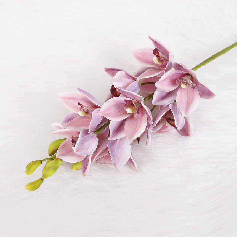 สีม่วงอ่อน