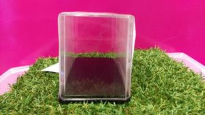 Transparente acrílico almacenamiento decorar flor organizador mostrar caso juguete recoger caja <span class=keywords><strong>de</strong></span> visualización <span class=keywords><strong>a</strong></span> prueba - Product Image 2