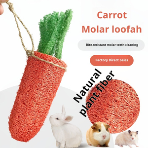 Juguetes para masticar al por mayor para mascotas: juguetes de zanahoria de lufa para hámster, conejo, perro y gato - Product Image 4