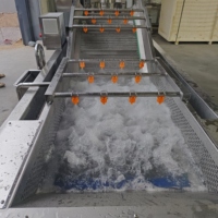 Commerciële luchtbelwasmachine, transportbandtype, voor het reinigen van bladgroenten en garnalen in een verwerkingsfabriek