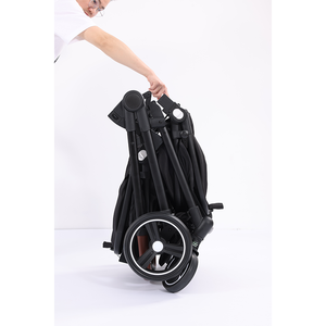 Passeggino Gemellare con Due Sedute e Seggiolino Auto, Passeggino Doppio con Tettuccio Allargato - Product Image 4