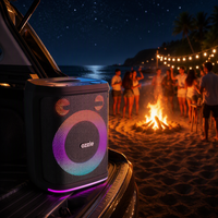 Haut-parleur de karaoké OEM ODM 100W RMS, système musical avec prise en charge micro et guitare, basses puissantes pour fêtes en extérieur