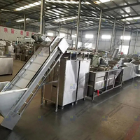 Complete productielijn voor diepvriesfrieten en cassave/aardappelchips