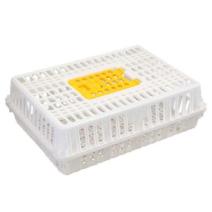 Poultry farming day old chick shipping boxes transport crates for Nigeria