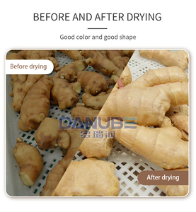 Horno de Cámara de Secado Automático PLC de Alta Productividad para Jengibre, Anís Estrellado y Pepino, con Bandejas de Secado por Aire, Más Vendido - Product Image 4