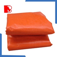 Prix d'usine 200 grammes bâche PE colorée bon marché