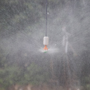 <span class=keywords><strong>Micro</strong></span>-<span class=keywords><strong>asperseur</strong></span> rotatif en plastique pour serre agricole, pour l'irrigation des terres agricoles - Product Image 4