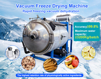 Voor Gevriesdroogde Vruchtensap Poederpomp/Vriesdroger China / Bulk Gevriesdroogde Voedselmachines Ce Iso Gecertificeerd